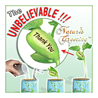 Thank You Nature's Greeting Growing Kit