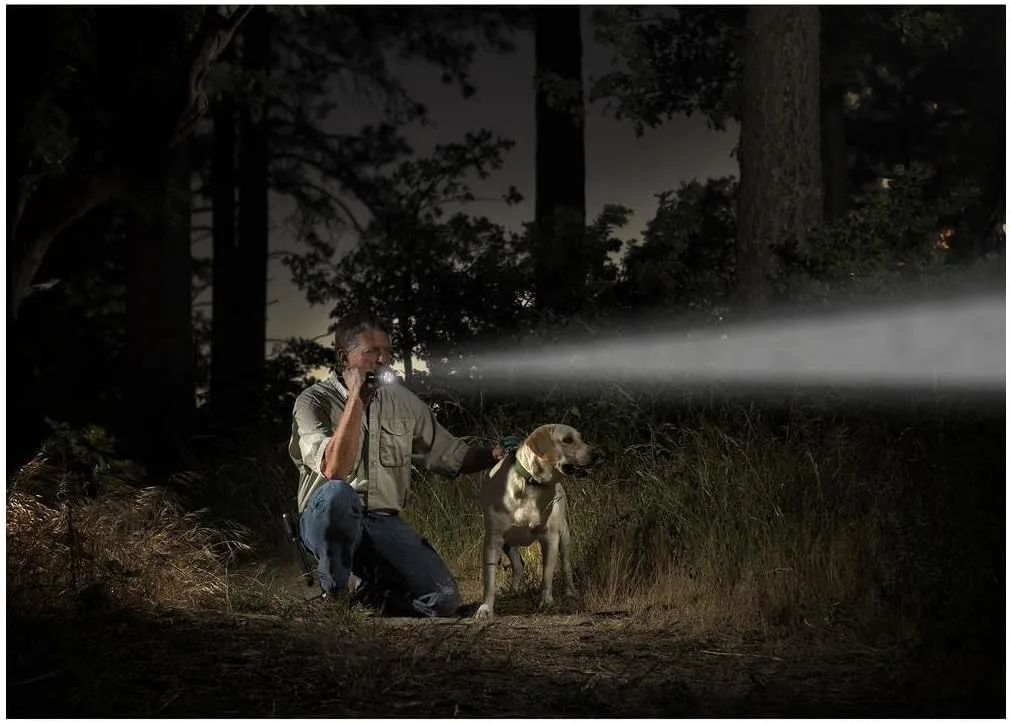 MAGLITE ML25LT LED 3-Cell C Flashlight