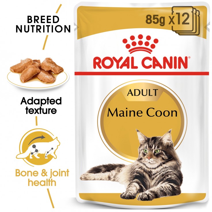 Royal Canin Wet Food Feline Breed Nutrition Maine Coon 12x85G(pouches) Royal Canin Wet Food Feline Breed Nutrition Maine Coon 12x85G(pouches)
