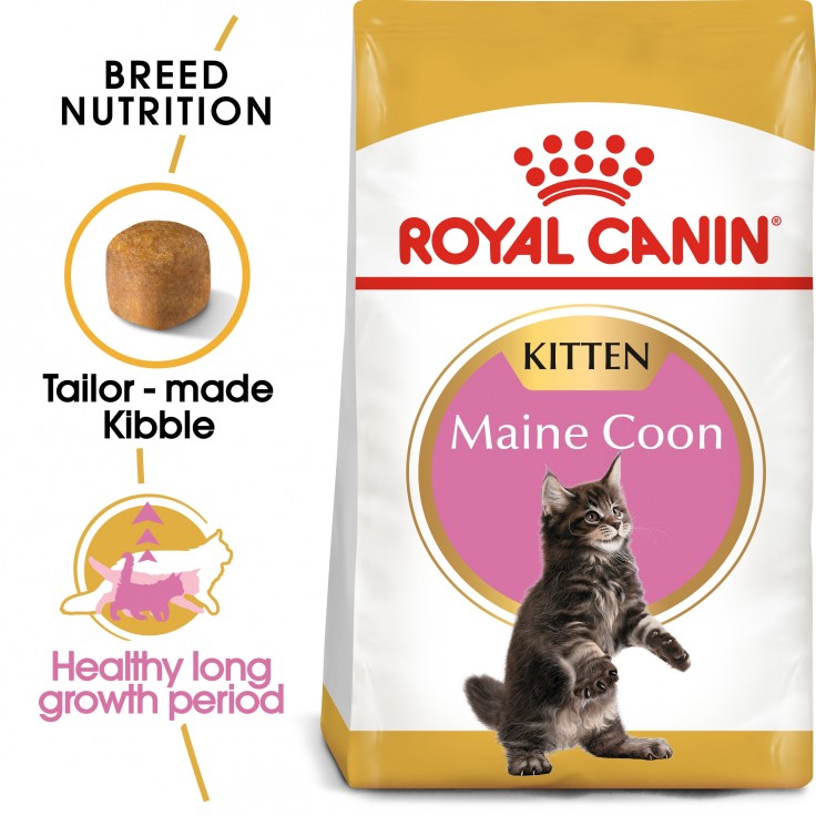 Royal Canin Feline Breed Nutrition Maine Coon Kitten 2KG Royal Canin Feline Breed Nutrition Maine Coon Kitten 2KG