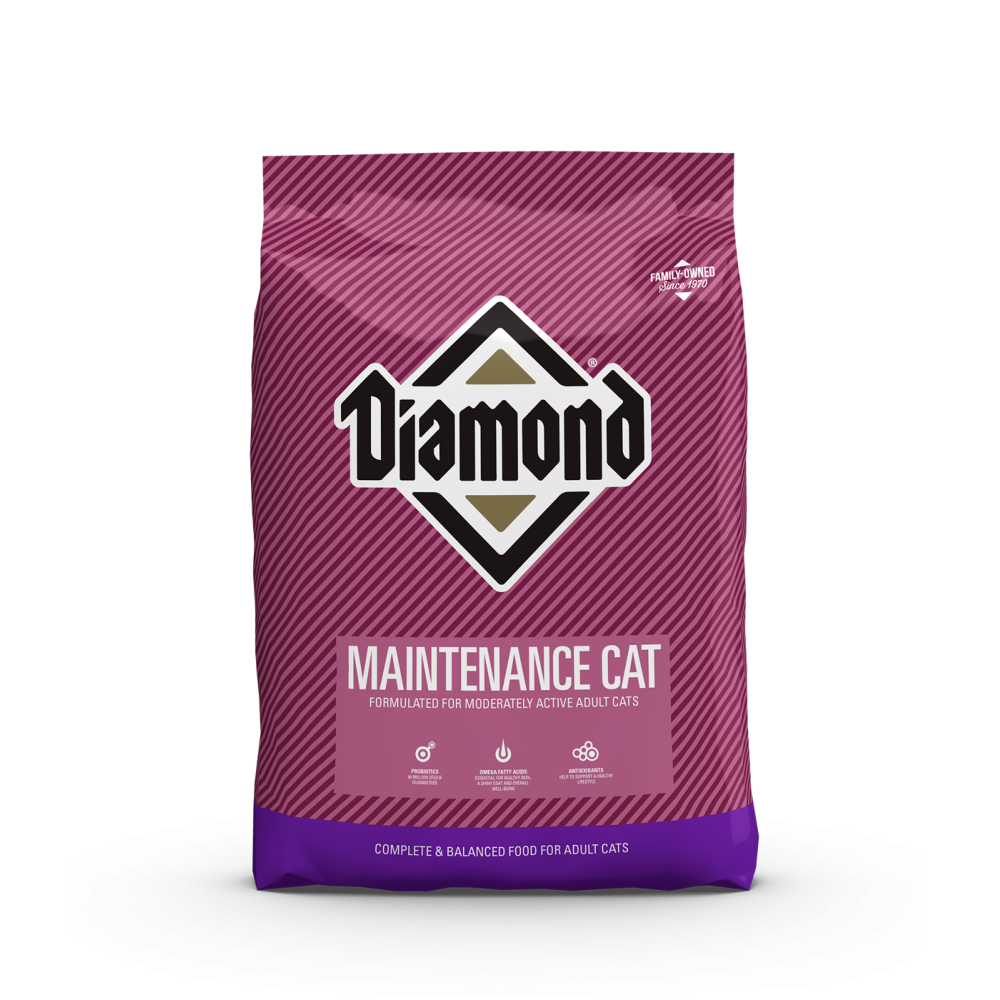 MAINTENANCE CAT