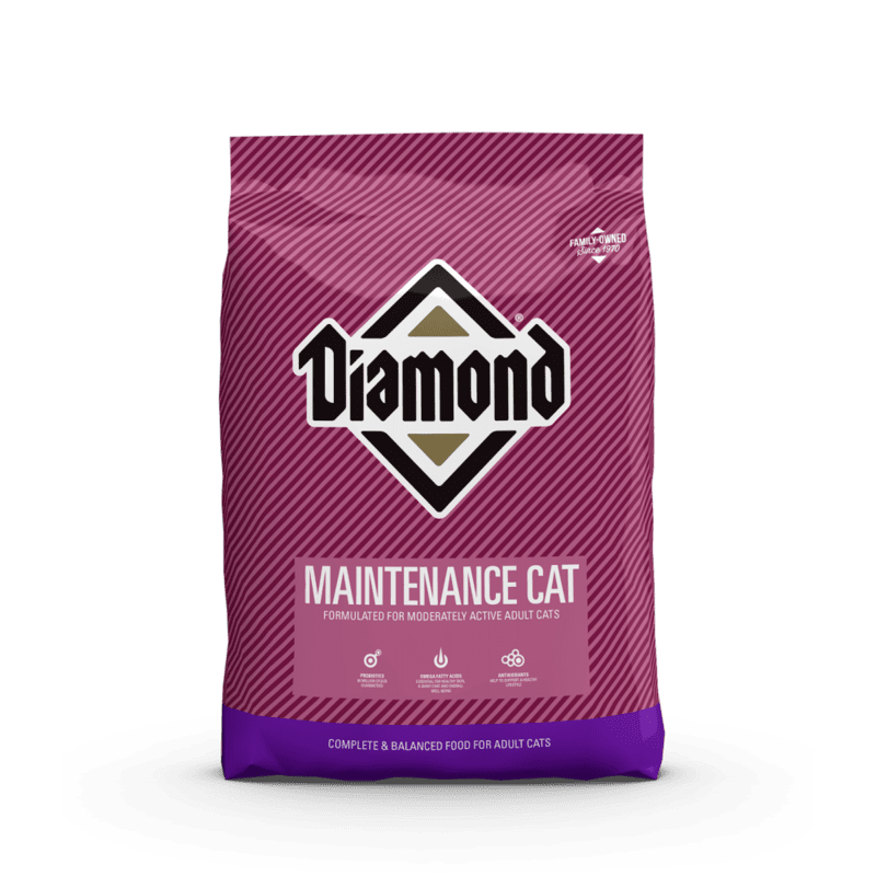 MAINTENANCE CAT MAINTENANCE CAT