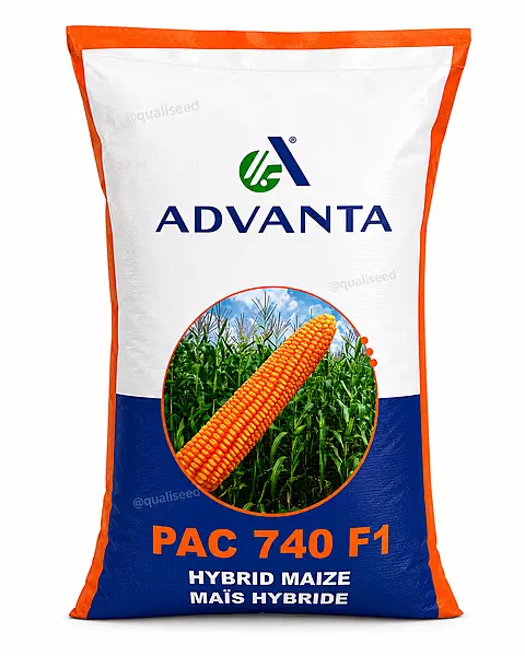 Yellow Maize Pac 740