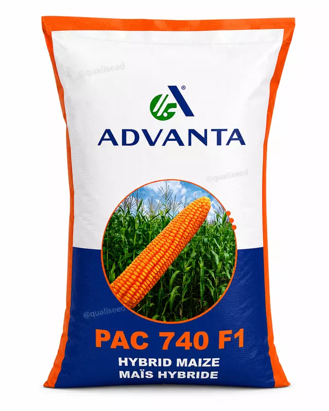 Yellow Maize Pac 740