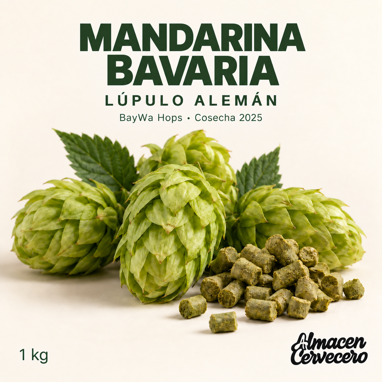 Mandarina Bavaria GER BW 2025