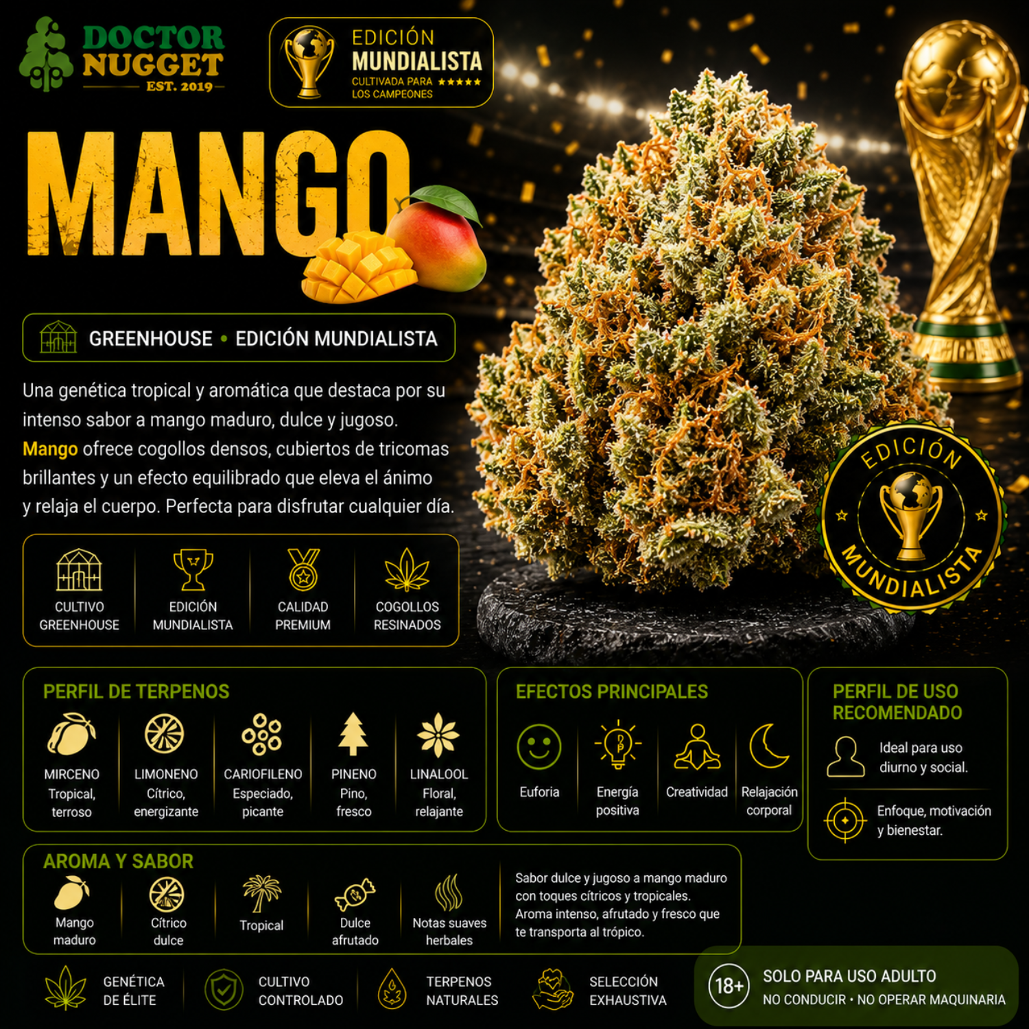 Dr. Nugget Mango THC Flor