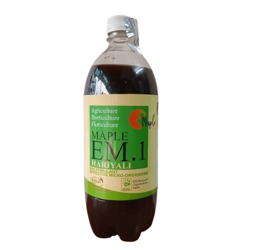 Maple EM1 Hariyali