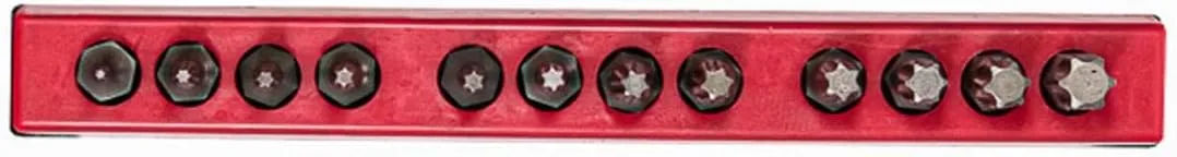 12 PC SLOTTED & PHILLIPS- BIT SET