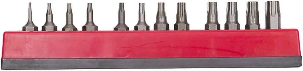 12 PC SLOTTED & PHILLIPS- BIT SET
