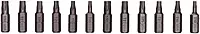 12 PC TORX & TAMPER TORX- BIT SET