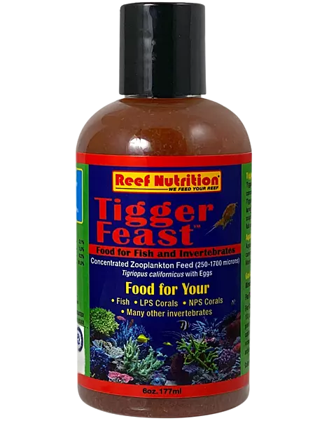 Tigger-Feast