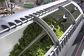 Merlin PLUS - Willmess