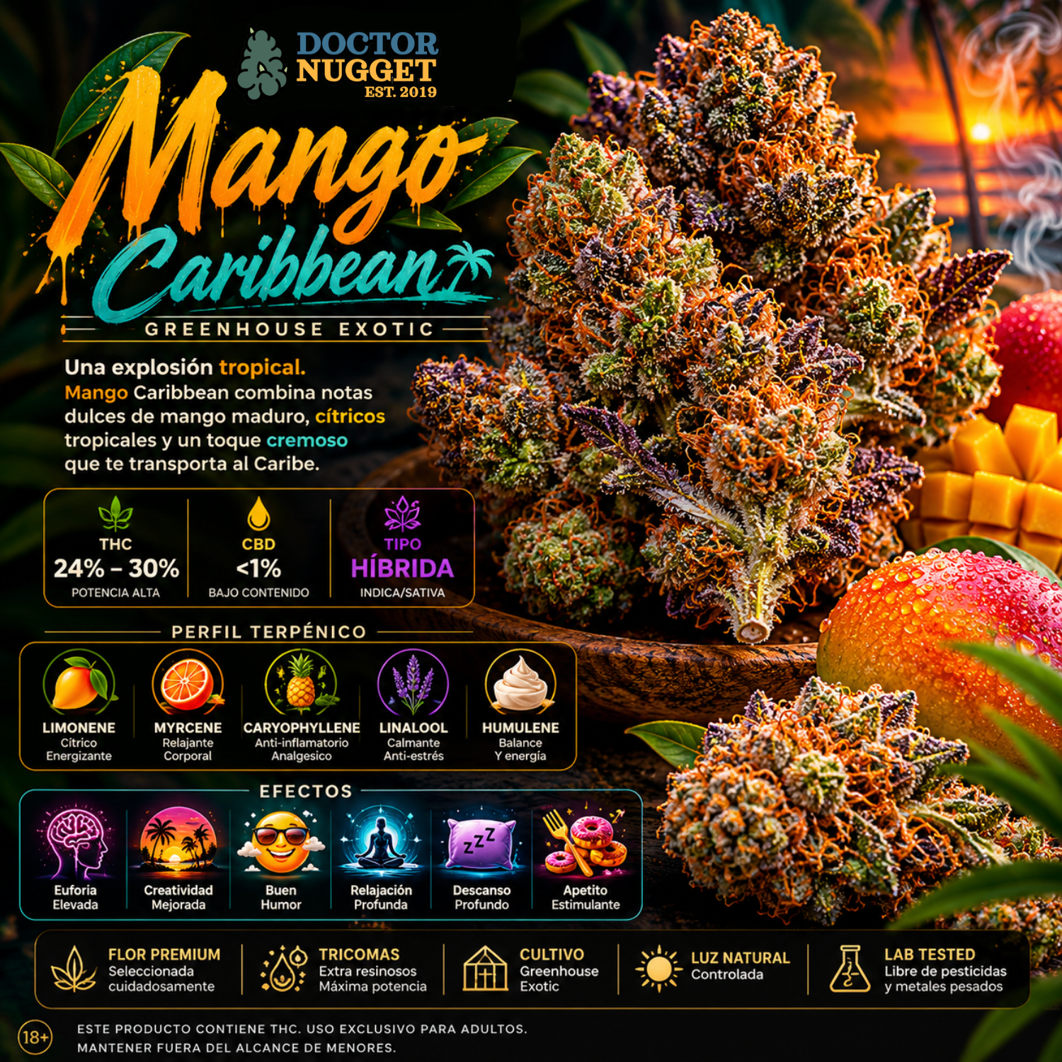 Dr. Nugget Mango Caribbean THC Flor