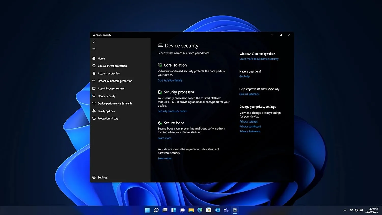 Microsoft Windows 11 Pro (USB)