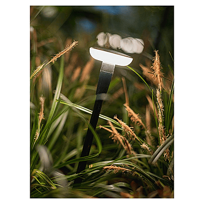 in-lite Mini Sway in-lite Mini Sway