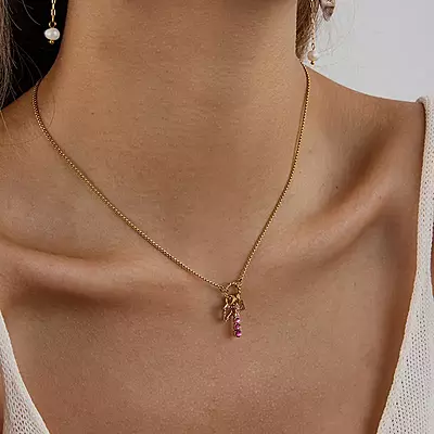 Delicate Charms Necklace