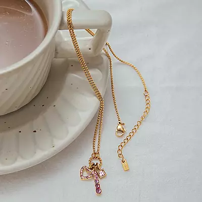 Delicate Charms Necklace