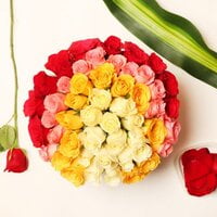 Mixed Expressions Of Love