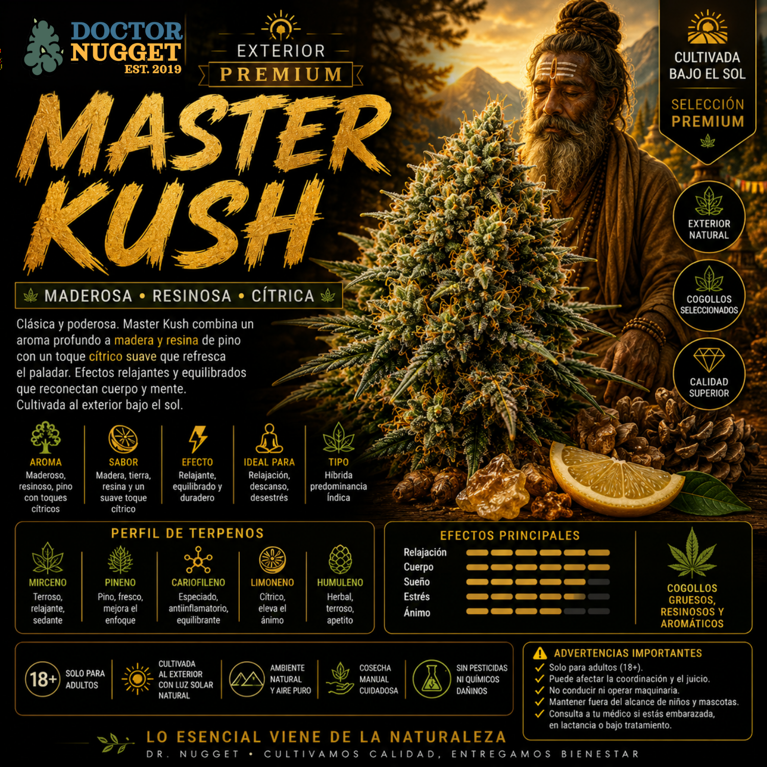 Dr. Nugget Master Kush THC Flor