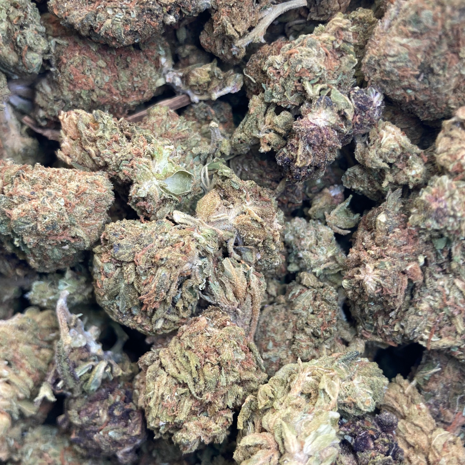 Master Kush Exterior Premium