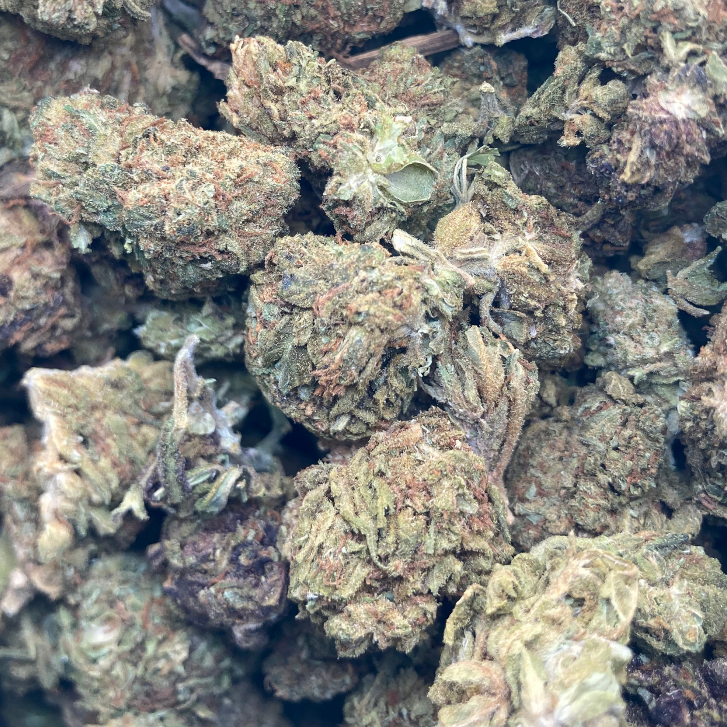 Master Kush Exterior Premium