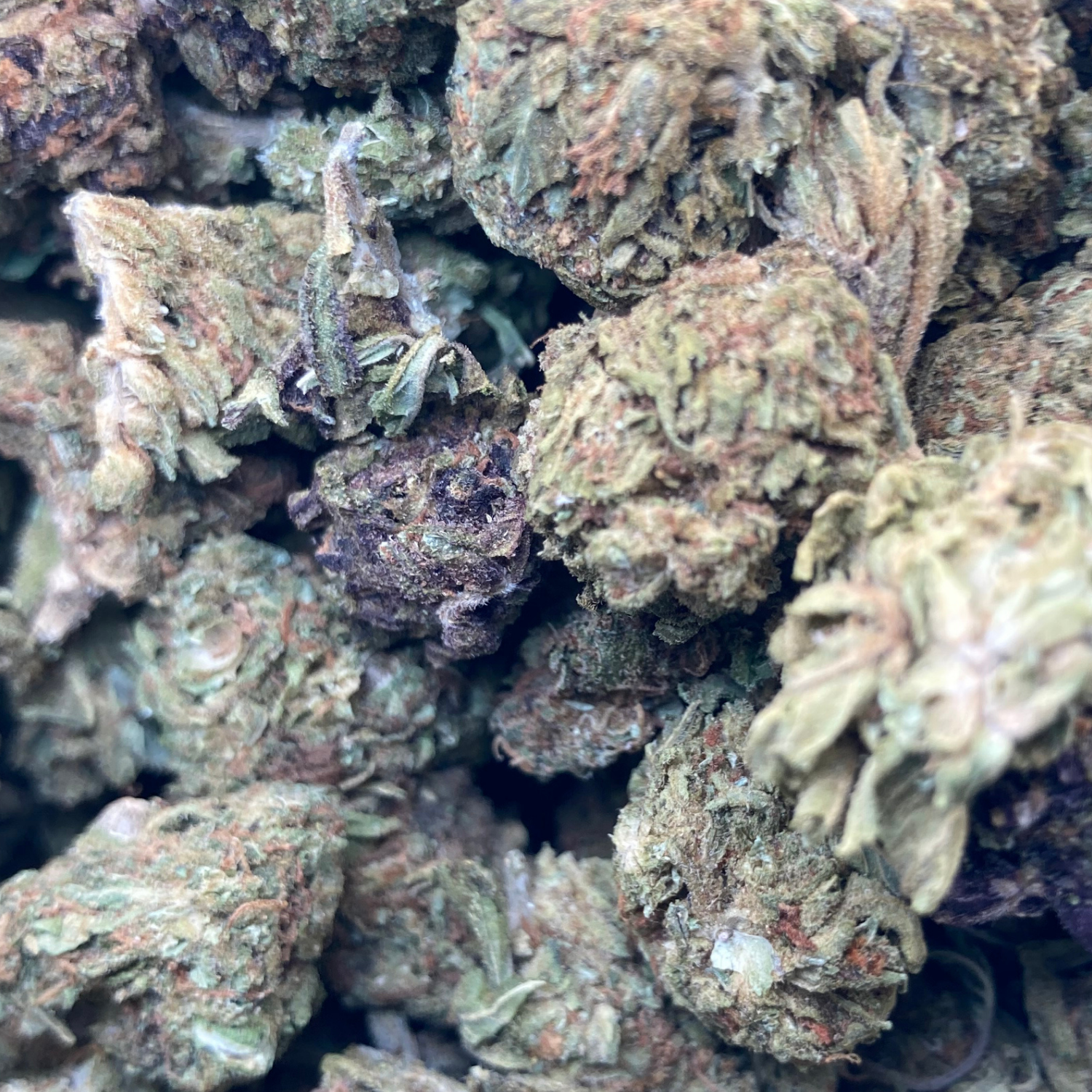 Master Kush Exterior Premium