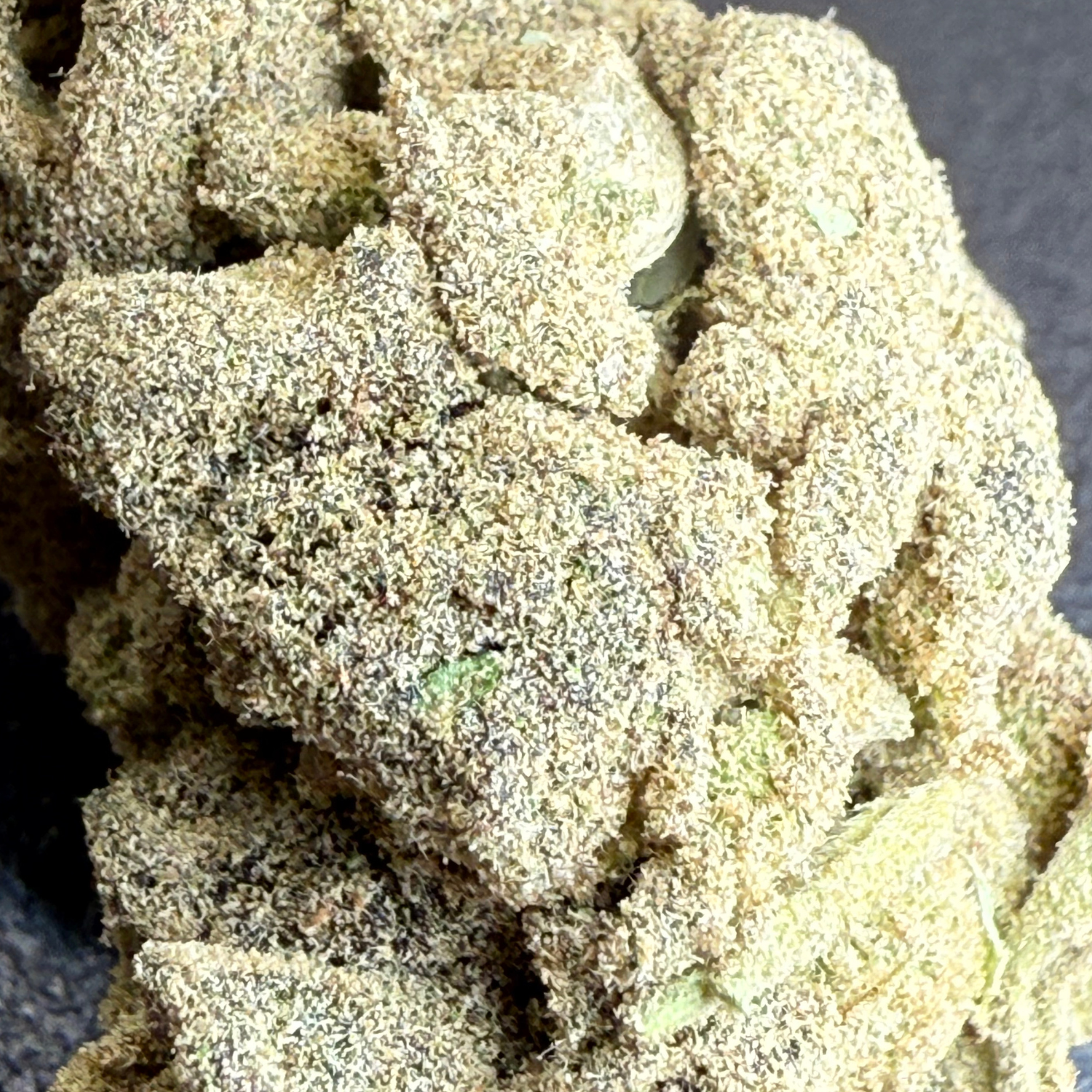 Moon Rock Exterior Standard