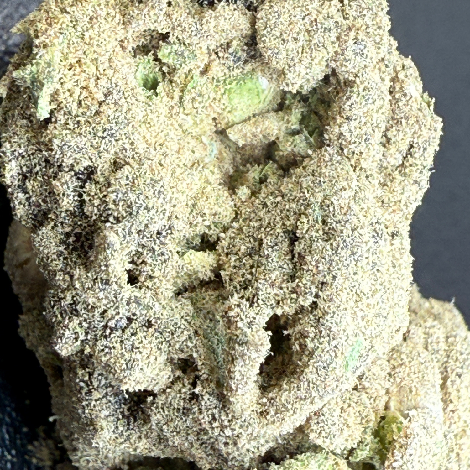 Moon Rock Exterior Standard