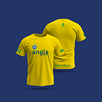 Brasil - Anglo Rede Sul