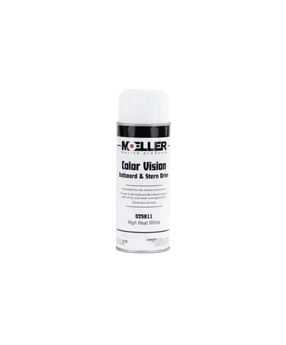 Color Vision Paint Color: High Heat White