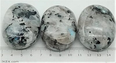 Moonstone Palmstones (India)