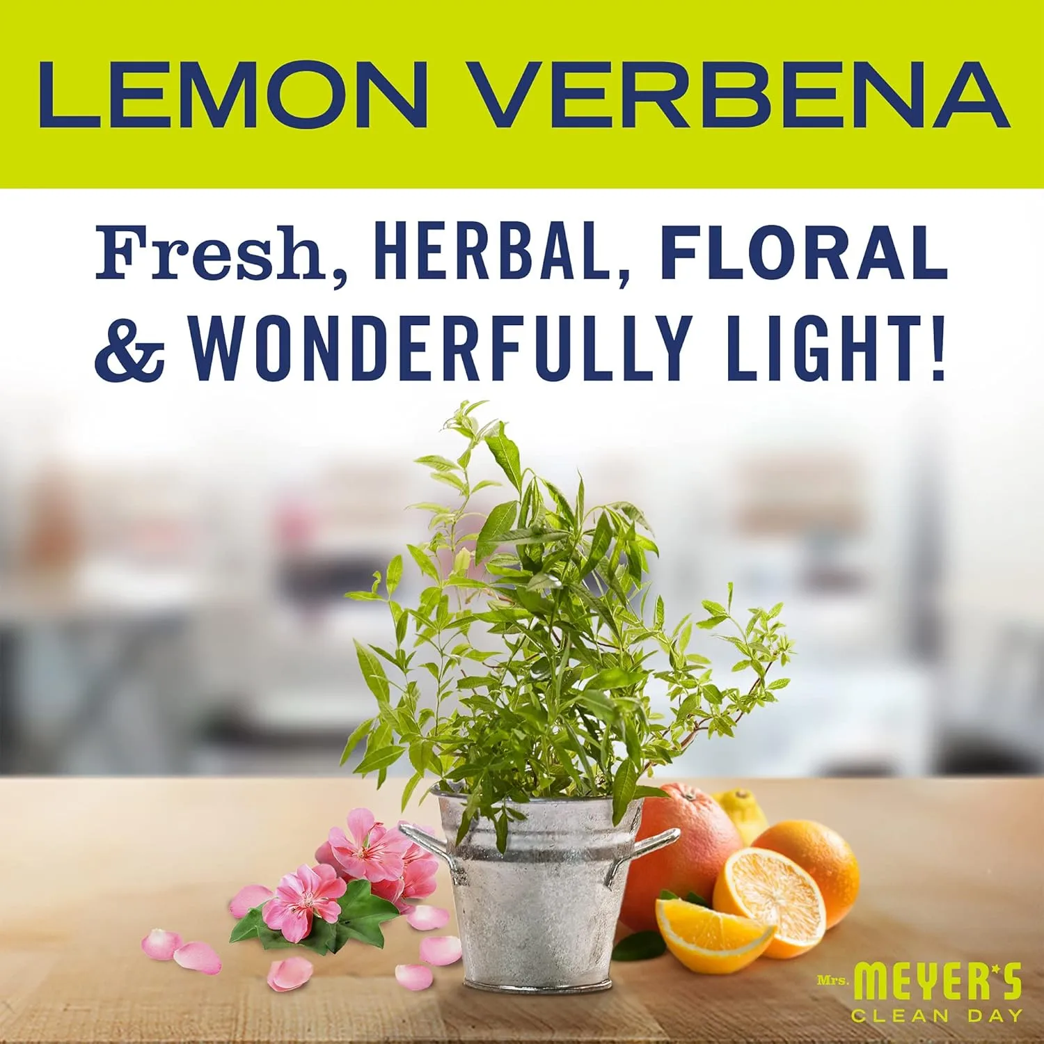 MRS. MEYER'S CLEAN DAY Basil Dish Soap (48 oz) & Lemon Verbena Hand Soap (33 oz) Bundle