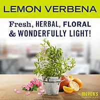 MRS. MEYER'S CLEAN DAY Basil Dish Soap (48 oz) & Lemon Verbena Hand Soap (33 oz) Bundle