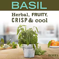 MRS. MEYER'S CLEAN DAY Basil Dish Soap (48 oz) & Lemon Verbena Hand Soap (33 oz) Bundle