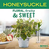 MRS. MEYER'S CLEAN DAY Liquid Dish Soap Refill, Biodegradable Formula, Honeysuckle