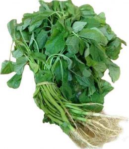 MULAI KEERAI GREEN ( AMARANTHUS ) (பச்சை முளைக்கீரை)