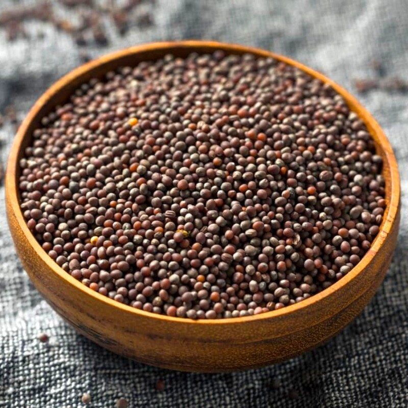 Mustard Seeds Big / Rai / Sarson / Sasive seeds