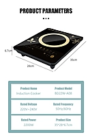 AIFIKE AFK-167 2200W DIGITAL DISPLAY INDUCTION COOKER