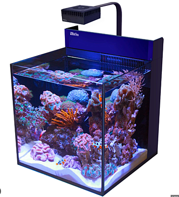Nano Reef Tank — 20 Gallon AIO