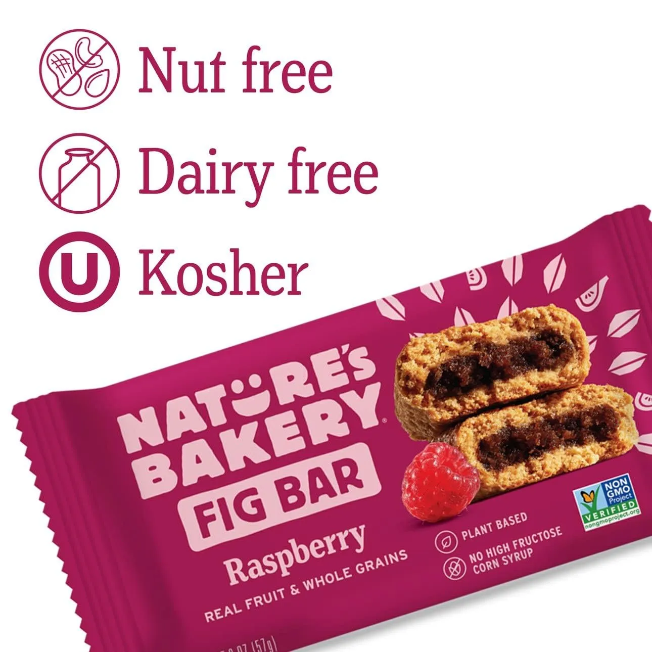 Nature's Bakery Stone Ground Whole Wheat Fig bar 24 Twin Pack 24 - 2oz Blueberry / Raspberry 24 Count (Pack of 1)