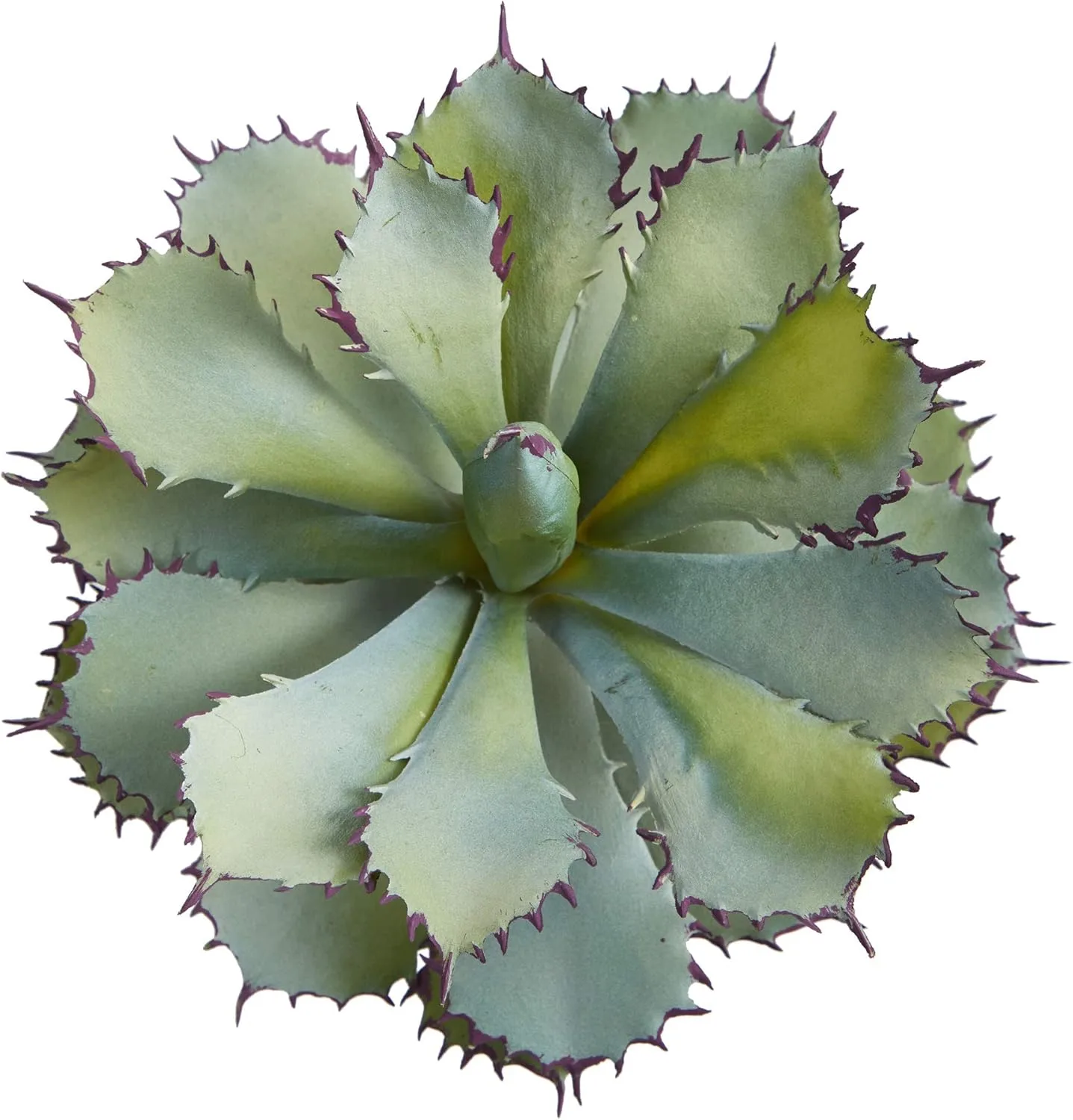 Nearly Natural Succulent 11inH Artificial Plant With Planter, 11inH x 10inW x 10inD, Green/White