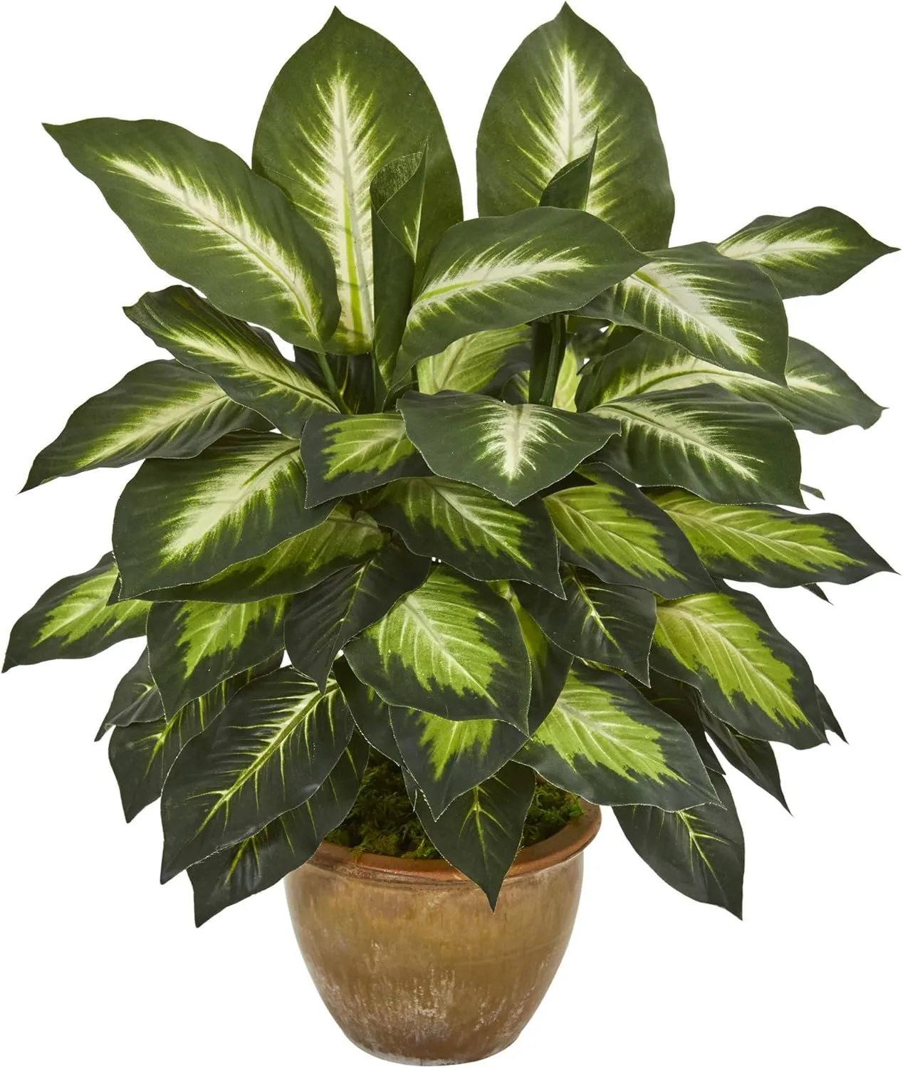 Nearly Natural 18inH Dieffenbachia Artificial Plant With Ceramic Planter, 18inH x 16inW x 16inD, Tan/Green