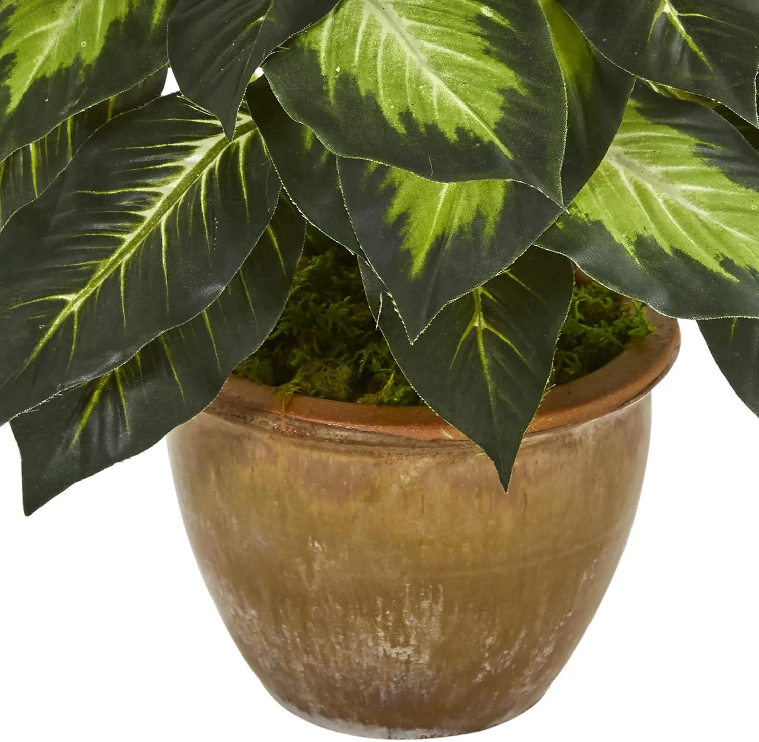 Nearly Natural 18inH Dieffenbachia Artificial Plant With Ceramic Planter, 18inH x 16inW x 16inD, Tan/Green