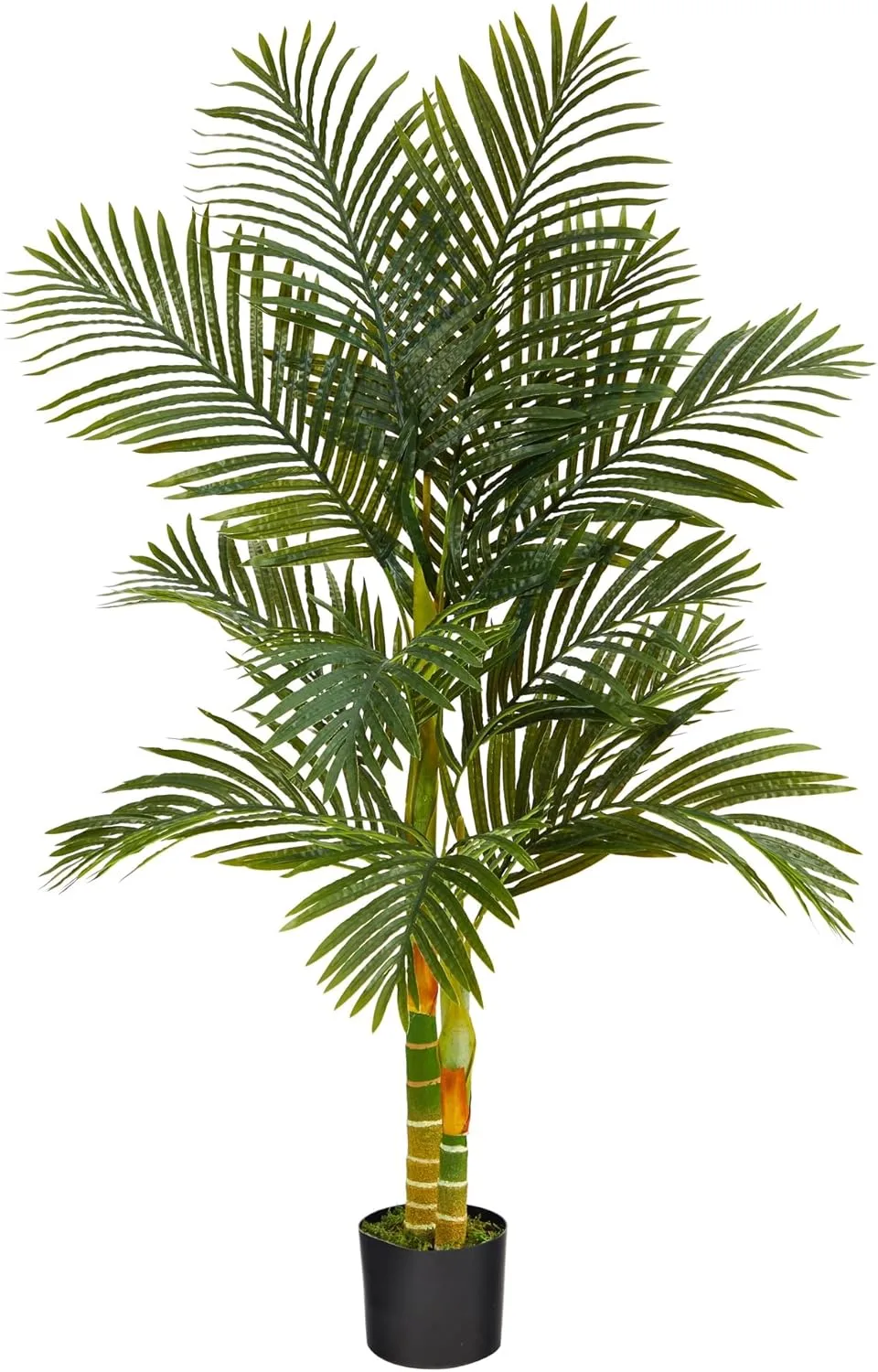 Nearly Natural Golden Cane Palm 60inH Artificial Plant With Planter, 60inH x 24inW x 24inD, Green/Black