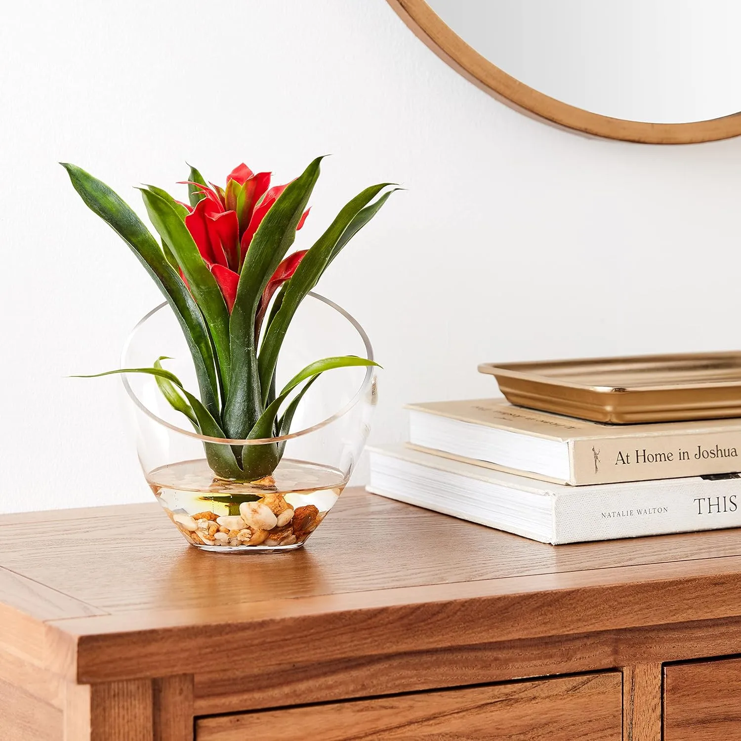 Nearly Natural Tropical Bromeliad 8inH Artificial Floral Arrangement With Angled Vase, 8inH x 6inW x 6inD, Red