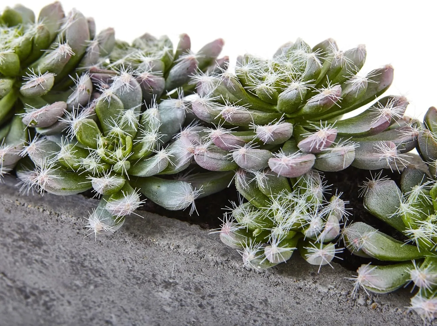 Nearly Natural Succulent 5-1/2inH Plastic Garden With Textured Concrete Planter, 5-1/2inH x 13-1/2inW x 4-1/2inD, Green