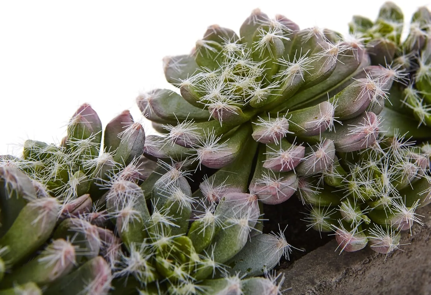 Nearly Natural Succulent 5-1/2inH Plastic Garden With Textured Concrete Planter, 5-1/2inH x 13-1/2inW x 4-1/2inD, Green