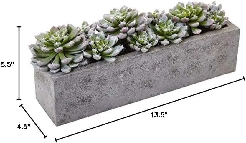Nearly Natural Succulent 5-1/2inH Plastic Garden With Textured Concrete Planter, 5-1/2inH x 13-1/2inW x 4-1/2inD, Green