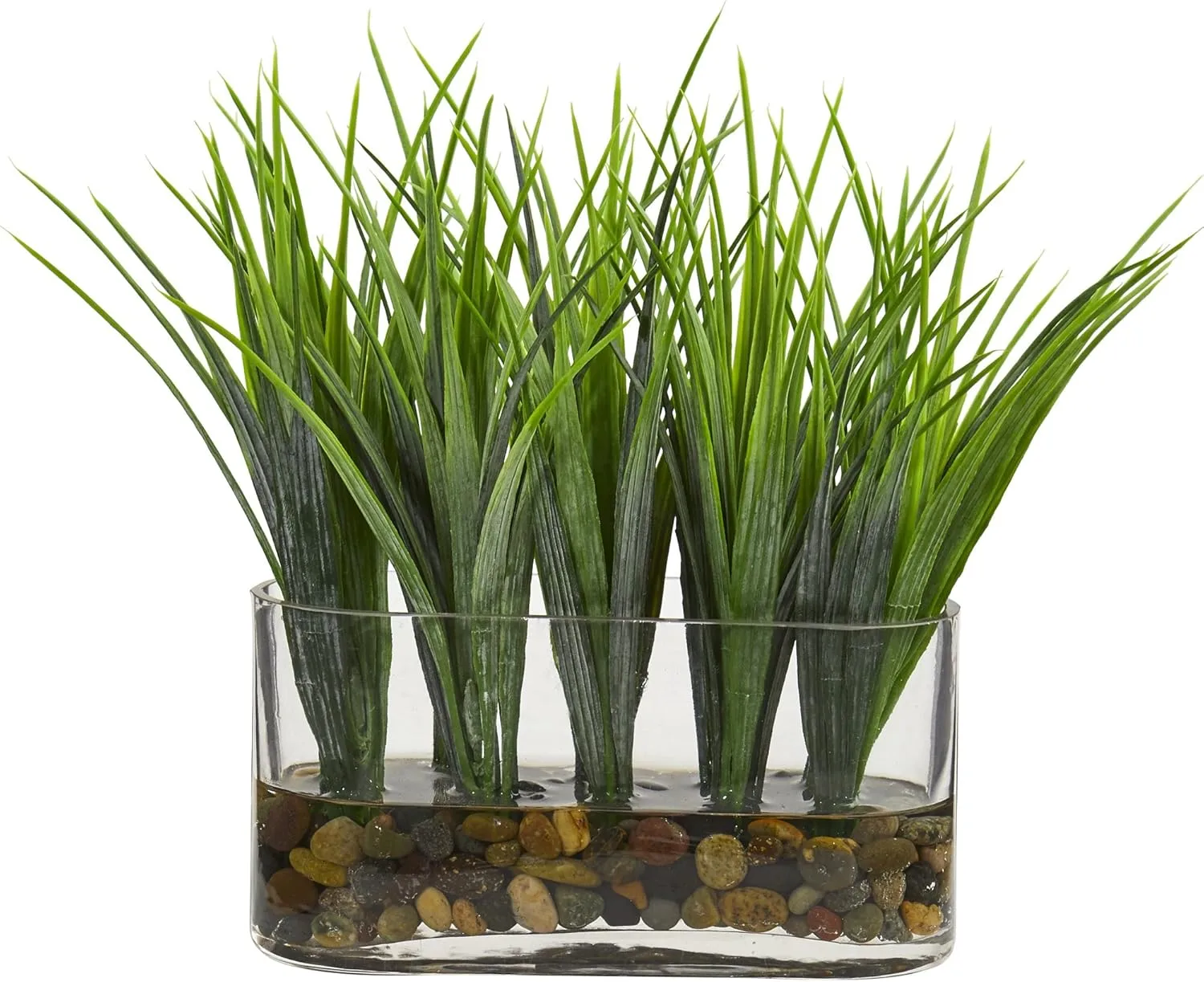 Nearly Natural 9inH Vanilla Grass Artificial Plant With Oval Vase, 9inH x 7inW x 3inD, Clear/Green