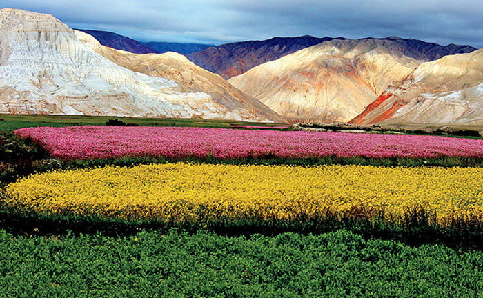 Nepal Landscape Notecard